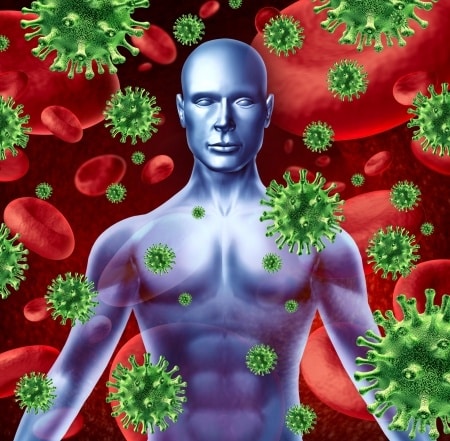 an image of the human body