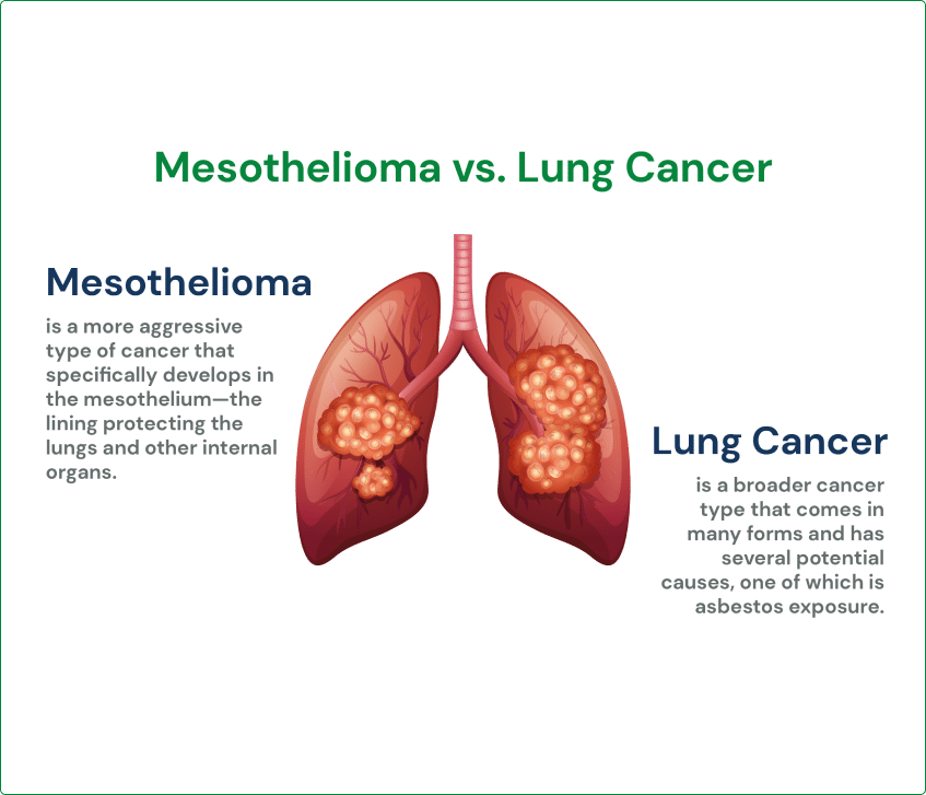 diagrama showing the difference between mesothelioma and lung cancer